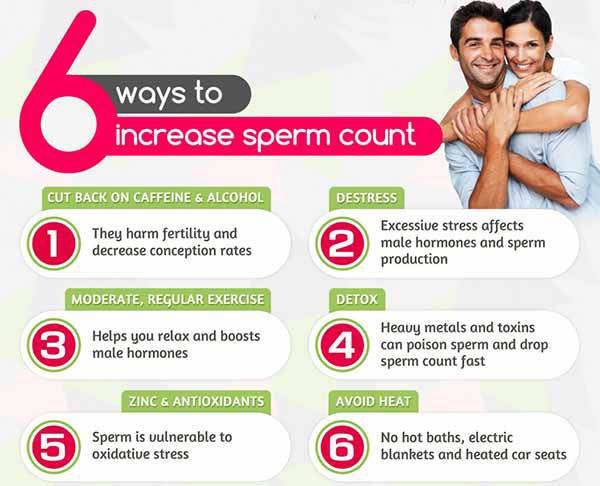 Sperm Count