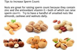 Sperm Count